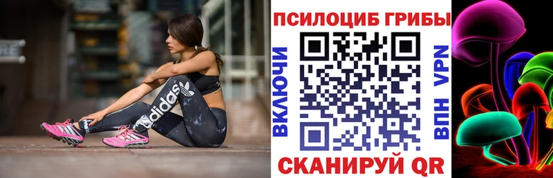 Псилоцибиновые грибы MAGIC MUSHROOMS  Купить где  Злынка 